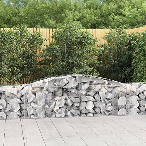 ShGaxin Cesti Gabbioni ad Arco 2 pz 400x50x60/80 cm Ferro Zincato,Cesti Gabbioni ad Arco,Gabbioni Metallici per Sassi, Gabbioni Metallici per Pietre-3146970