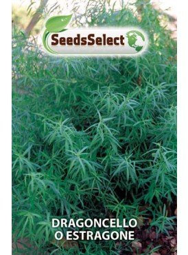 Erba Aromatiche,Dragoncello,Estragone,Artemisia Semi 2 Buste MAXI
