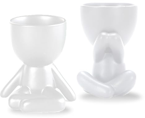 WoRuyKot 2 pezzi per vaso per piante grasse, vasi per piante grasse da interno, Fioriera decorativa perfetta per casa, ufficio, interni ed esterni (nero) (Bianco 2)