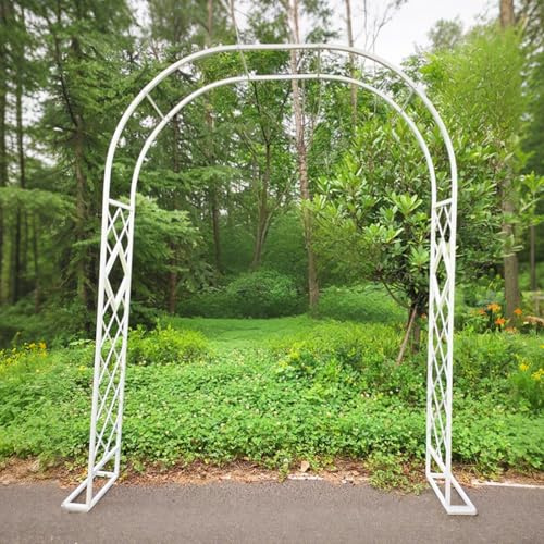 Arche de jardin en acier robuste – Treillage extérieur pour plantes grimpantes, vignes et roses – Élégante décoration de cérémonie de mariage et embellissement du paysage