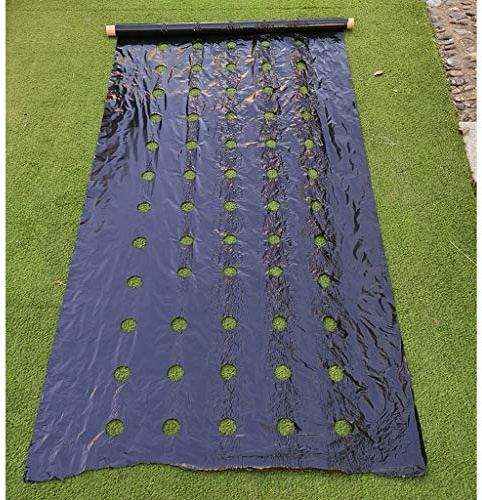 WGD Dimo Mulche Perforado De Efecto Invernadero, Película De La Agricultura De Control De Malezas, Cría De Mulch Veg Patch para Tomate Fresa Crecimiento Punch Punch 4.5cm Agujero, 1pcs