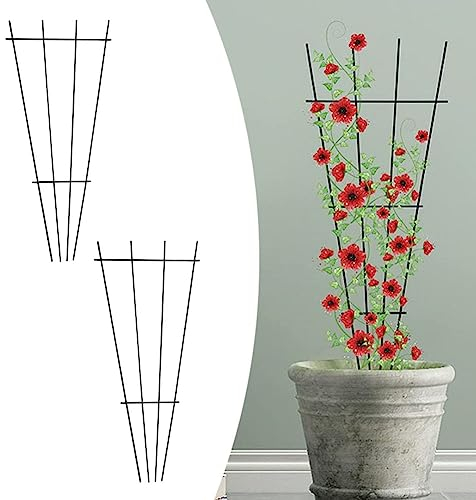Lot de 2 supports de plantes de jardin, treillis en métal, support de croissance pour plantes grimpantes, treillis de feuilles