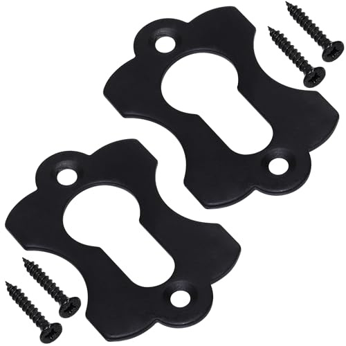 AERZETIX - C73732 - Paire de 2 rosettes plaques 60x38x2 mm pour cylindre profilé - cache trou de clé - en métal - couleur noir - porte rosace ferrure protection sécutité