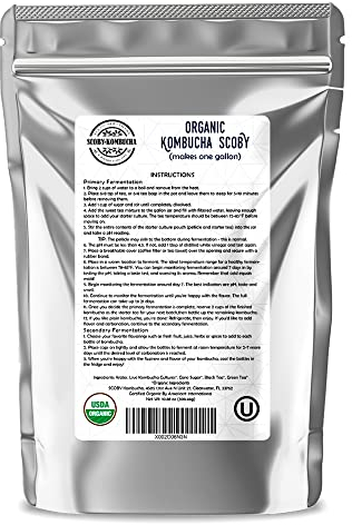 1 X Organic Kombucha Scoby - Live Culture by Scoby Kombucha by Scoby Kombucha
