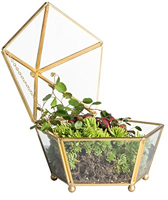 Terrario de estilo retro con patas pequeñas de cobre dorado, cristal transparente, forma joyero pentagonal, para plantas, para escritorio, con tapa basculante