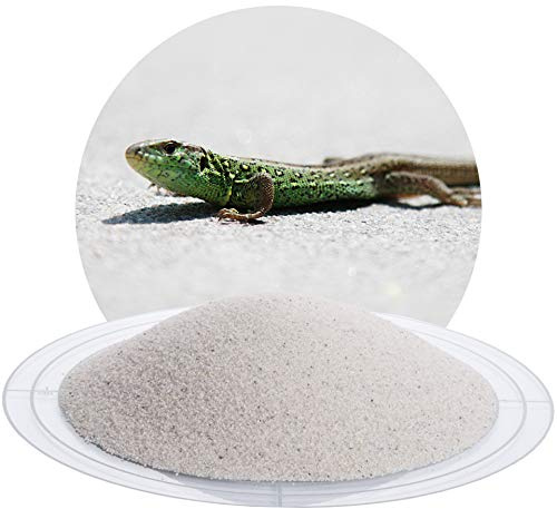 Schicker Mineral Terrariensand weiß 0,4-0,8 mm 25 kg, Quarzsand | Hochrein, kantengerundet, gewaschen, hocherhitzt, frei von organischen Stoffen, keimfrei, sofort einsetzbar, Terrariumkies