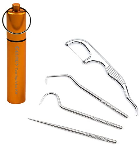 Portable Toothpicks Pocket Set, Dental Floss Picks, Reusable Flosser, Travel Tooth Picker, Flossers for Adults, Stainless Steel Teeth Cleaning Kit