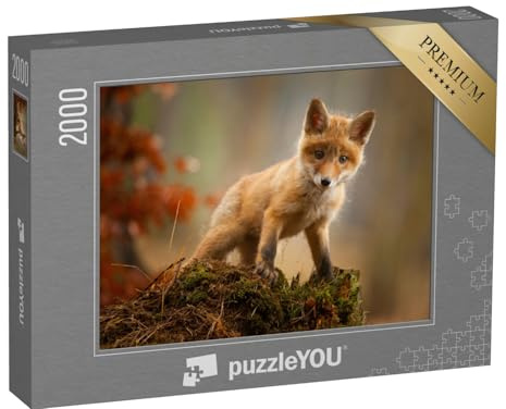 puzzleYOU: Puzzle 2000 Teile „EIN junger Fuchs“ – aus der Puzzle-Kollektion Tiere, Füchse, Tiere in Wald & Gebirge