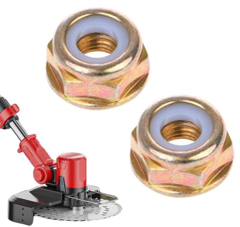 QEDBOJE 2x Écrou de Lame Écrou à Filetage Inversé pour Tous Types de Débroussailleuses avec Filetage Inversé (M10 x 1,25)