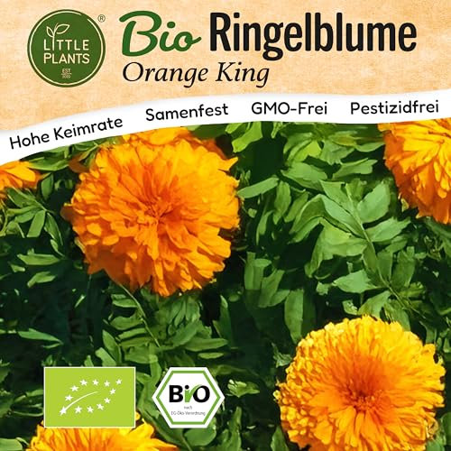 Little Plants BIO Ringelblume Samen 120 Ringelblumesamen Orange King Calendula Blumensamen Samenfest für Blumengarten Blumen Samen für Balkon und Garten