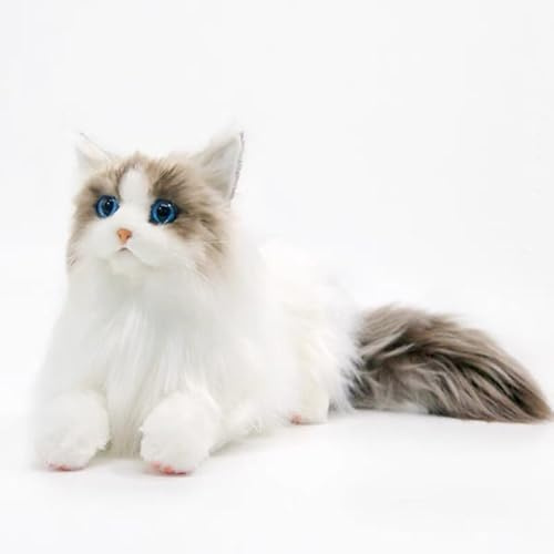 Xiyocadt PlüSchtier Katze Niedlich Katzen Deko Realistische Ragdoll- Kuscheltier Flauschig Und Weich PlüSchtiere Stofftier Katze Geschenke FüR Jungen Und MäDchen (25 * 18cm,Standard)