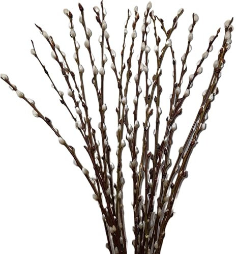 Airboom frischer natürlicher WEIDENKÄTZCHEN Bund 70cm. Hochzeitsdeko Osterdeko Frühlingsstrauß (3)