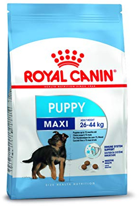 Royal Canin Maxi Junior, 1er Pack (1 x 1 kg)