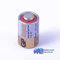 GP super 11 a batteria alcalina 6 V MN11 A11 GP11 A E11 A L1016