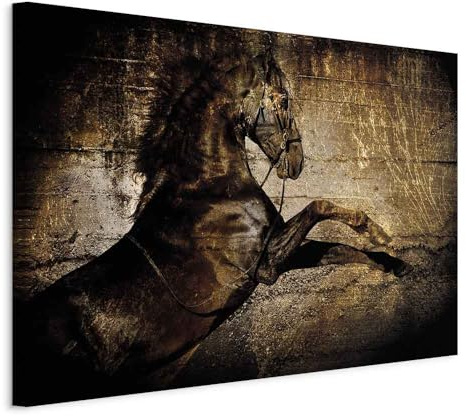 murando - Leinwandbild Tiere Hengst, 120x80 cm, 1-teilig, Schlafzimmer | Hochwertige Leinwand, sofort aufhängbar, ideal fürs Wohn- oder Schlafzimmer, wasserfest und lichtecht, langlebig, stilvoll