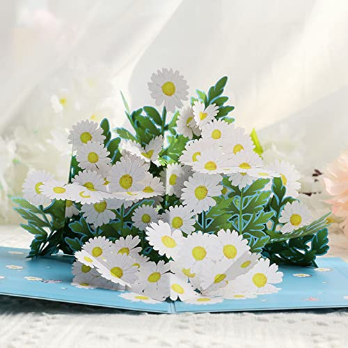 Drawelry 3D Blumen Pop-Up Grußkarte mit Gefaltete Liebe Herz Geburtstagskarte für Ehefrau, Freundin, Mama, Kinder Geburtstag, Hochzeit, Valentinstag, Weihnachten Glückwunsch (Gänseblümchen)