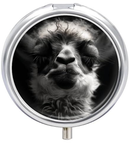 A Little Camel Pillendose für Damen und Herren, runde Pillendose, dekorative Box, Medizin, Vitamin, Metall, tragbarer Pillenhalter für Reisen, einzigartiges Geschenk