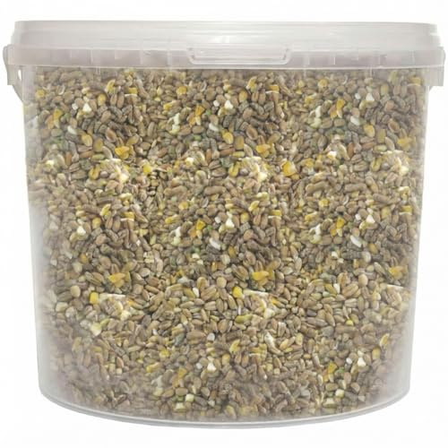 Chicken Feed for Chickens, Ducks, Geese, Bantams 5 Litre Poultry Nutrition Support