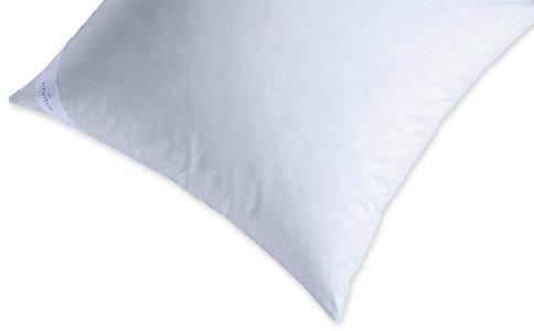 Billerbeck 5452290004 Kissen Daune S 05, Circa 80 x 80 cm