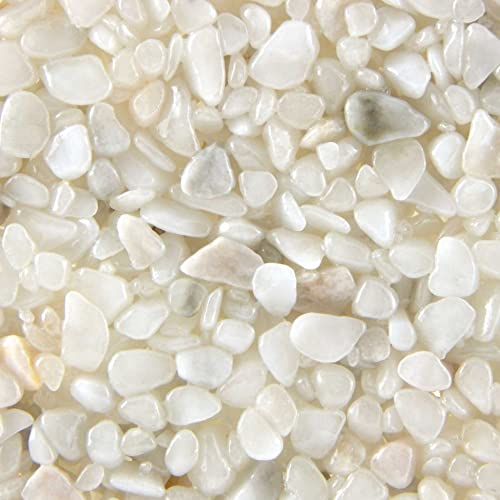 Terralith Steinteppich Marmor Komplett-Set für 1qm - Körnung: fein - 2-4mm mit Reinacrylat Bindemittel - für Wand in weiß (bianco)
