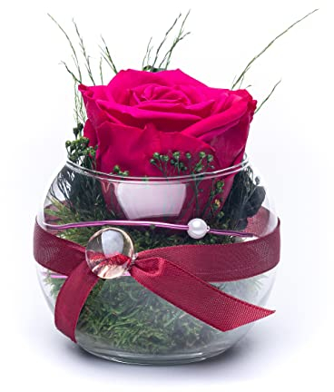 Rosen-Te-Amo |Ewige Rose im Glas duftend, handgefertigt, magenta|Echte ewige Rose in Geschenkbox |Geschenk für Frauen, Mama|Konservierte Blume zum Weihnachten, Valentinstag, Muttertag, DekoGeschenk