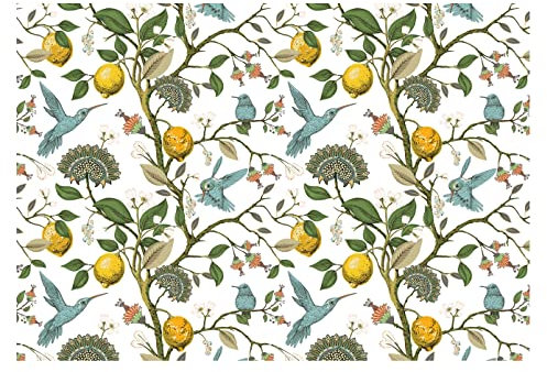 Forwall Fototapete Küche Zitrone Obst Vögel Moderne Motivtapeten Esszimmer Vlies Tapete Wandtapete UV-Beständig Montagefertig (152x104 cm - 1 Bahn)