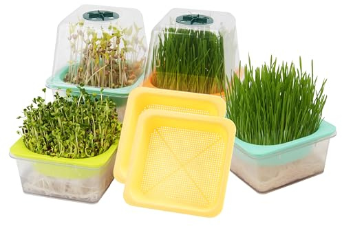 6er Keimschalen für Sprossen mit deckel, Kresse Anzuchtset mit Feuchtigkeitskuppel, 1,2 mm kleine Maschenlöcher, BPA-frei, Keimsprossen-Set für Microgreens wie Brokkoli, Alfalfa, Klee, Klar Base