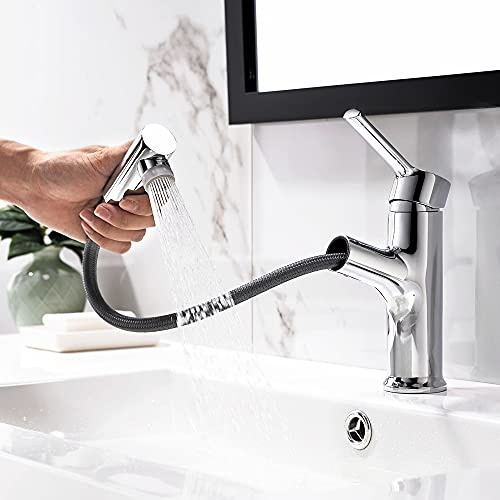 Rubinetto per Lavabo con Doccetta Estraibile, Miscelatore Monocomando per Lavabo per Acqua Calda E Fredda, Doccetta A Doppia Funzione, Rubinetto Estraibile con Beccuccio