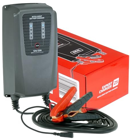Expert Charger 25A Batterieladegerät 12V – Batterieloses Gerät – Intelligentes KFZ Autobatterie Ladegerät für AGM, Gel, LiFePO4 & Blei-Säure – Profi-Gerät mit Entsulfatierung & Wandhalterung