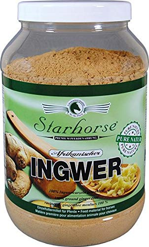 Starhorse afrikanischer Ingwer für Pferde 900g Dose