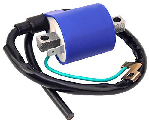 Road Passion Motorrad Zündspule Teile Hochdruckpaket Coil 33410HG5100 Kompatibel mit Hyosung GT250 GV250 GT250R GV125 GT125 GT125R 2003-2010