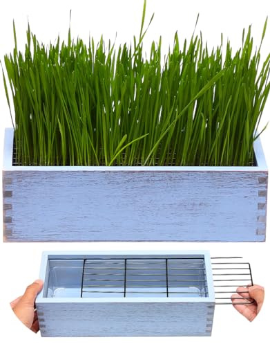 BENPIN Wooden Cat Grass Planter (no Seeds Included) Anti Digging Design | with Potting Soil Disks, Anti-Digging Grid and Removable Plastic Liner, Wheat Grass Growing Pot for Indoor Cats Rabbits Pets