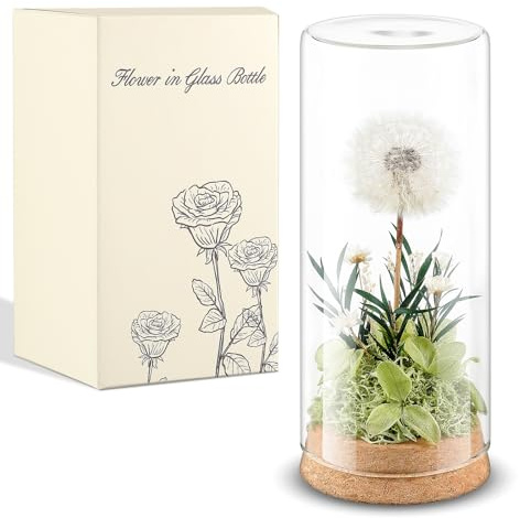 Blulu Echte Pusteblume im Glas Wunscherfüller Geschenke für Frauen | Konservierte Blumen im Glas, Geschenke für Geburtstag, Hochzeit, Weihnachten, Mama Oma Freundin
