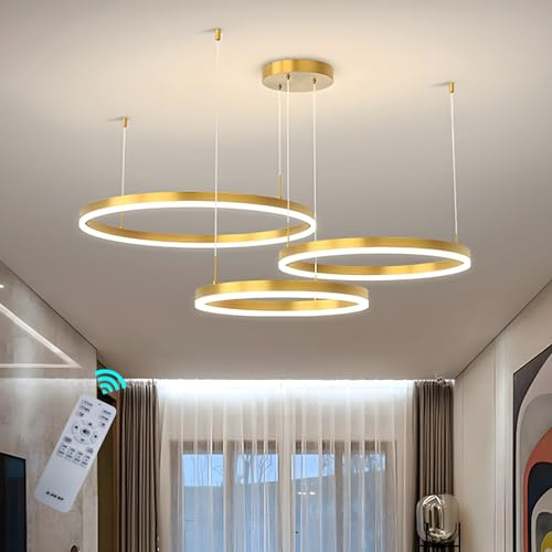 Lichtsse Modern LED Pendelleuchte Ring, Wohnzimmerlamp, Kreis Hängeleuchte, Runde Hängelampe Aluminium 3000K-6000K Dimmbar Kronleuchte, Esszimmerlampe, Deckenleuchte Wohnzimmer (Color : A-Go