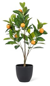 Abbott Collection Mini 2ft Artificial Orange Tree Plant - Plastic/Polyester, Green/Orange (24 H)