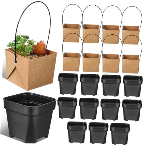 BESPORTBLE 12juegos Maceta De Papael Kraft De Mini Macetas para Suculentas Pequeñas De Plástico para Decorar y Regalar Jardín
