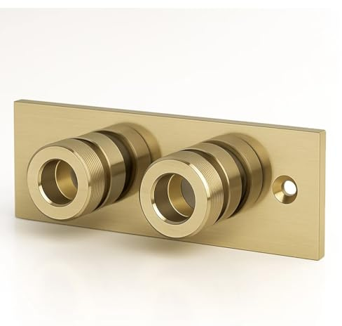 Brushed Brass Bidet Wall Bracket, Dual Outlet, G1/2 Connection, 120mm x 40mm