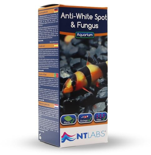 NT Labs Aquarium Anti White Spot & Fungus Treatment, Cures White-Spot Disease, Treats Fish Fungus, Freshwater Aquarium Medicine (100ml - Treats 500L)
