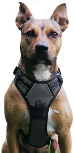 No Pull Hundegeschirr, Verstellbar Atmungsaktiv Reflektierend Weich Gepolstert Hunde Geschirr, Brustgeschirr für Hunde (Grau, M)