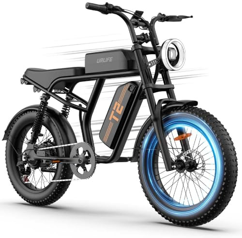 URLIFE 20 x 4 Elektrofahrräder für Erwachsene, 48V*15,6Ah Herausnehmbarer Akku, 120km Reichweite pro Ladung, 7 Gang Schaltung, LCD-Display, E-MTB mit Vorne und Hinten Federung (Schwarz)