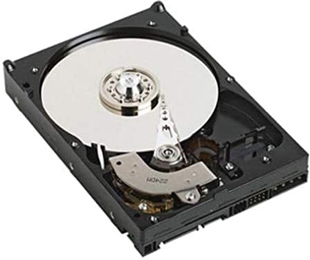 DELL 400-AFYB Disque Dur 3.5 1000 Go Série ATA III
