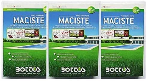 Maciste - Sementi per tappeto erboso - 1 Kg - OFFERTA 3 CONFEZIONI CON GUANTI IN OMAGGIO