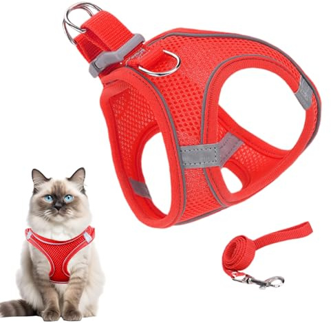 Harnais pour Chat De Voyage - Harnais Ajustable pour Promenade Et Exterieur - Accessoires pour Chiens Et Chats Toutes Tailles Voyage Randonnée