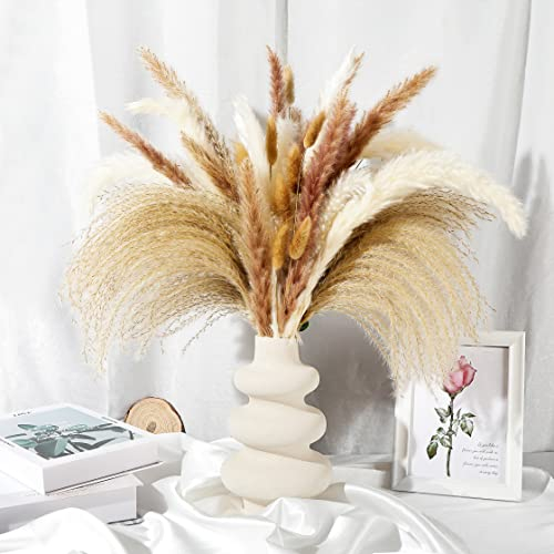 Pampa Naturale, 50 pezzi Set di Erba di Pampa Essiccata Naturale, 10 Pampa Bianca+10 Pampa Marrone+15 Reed Grass+15 Bunny Tail Grass, Erba Della Pampas Decorative, Fiori Secchi per Home/Boho Decor
