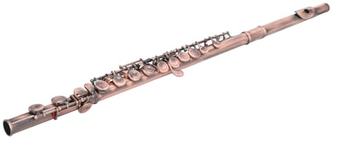 C-Tasten-Flöte, Elegante Vintage-Professionelle 16-Tasten-Flöte in C-Taste, Geschlossene Löcher, Flöteninstrument mit E-Taste, Inklusive Reinigungszubehör für Anfängerorchester