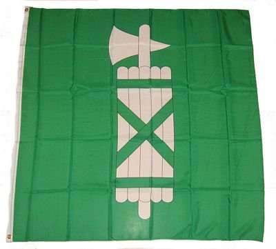 Fahne/Flagge Schweiz - Kanton St. Gallen 60 x 60 cm