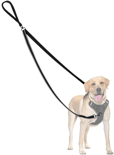 Double-Ended Reflective Dog Lead - Anti-Pull, Non-Tangle for Medium and Large Dogs