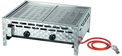 ACTIVA Gastro Gasgrill 2 Brenner – Robuster Gasbräter aus Edelstahl mit 2x5kW Leistung I Ideal für Foodtrucks, Biergarten & Veranstaltungen