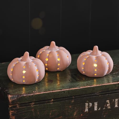 Lights4fun 3er Set LED Kürbis Terracotta Batteriebetrieb Timer Halloween Deko Herbst Dekoration Halloween Kürbis Innen