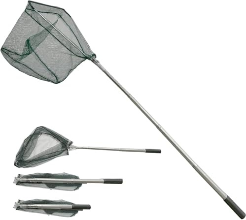 Épuisette de Pêche Pliable,190cm Long Manche Téléscopique,Acier Inoxydable 4 Section Poteau,Filet Nylon Triangulaire,Extensible de 31 à 74.8 Pouces,pour Carpe Truite Crevette Etang Bassin Poisson